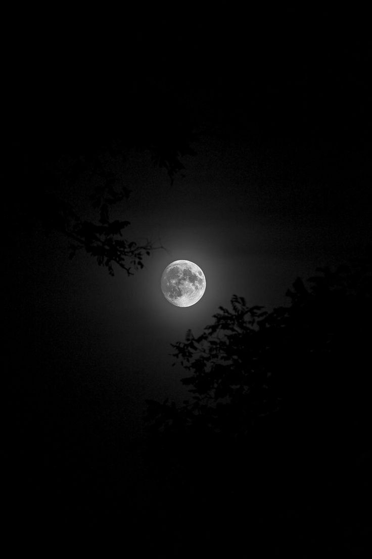 736x1104 Black Goth Aesthetic Moon Wallpaper Background