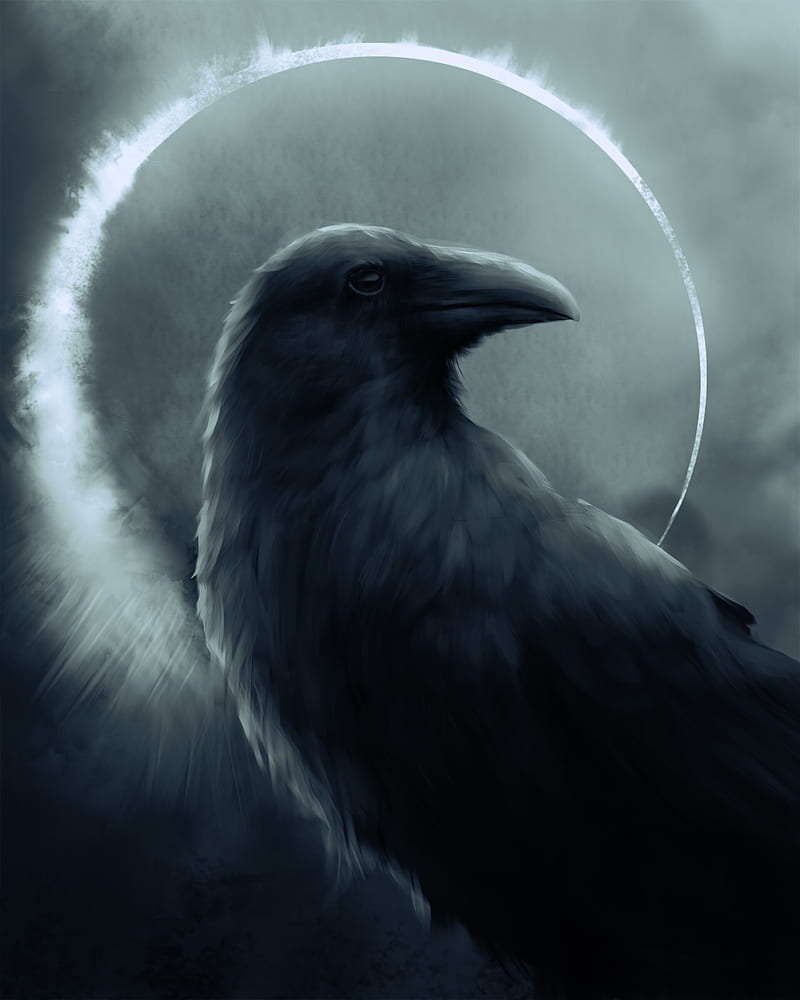 800x1000 Raven, bird, art, dark, circle, HD phone wallpaper