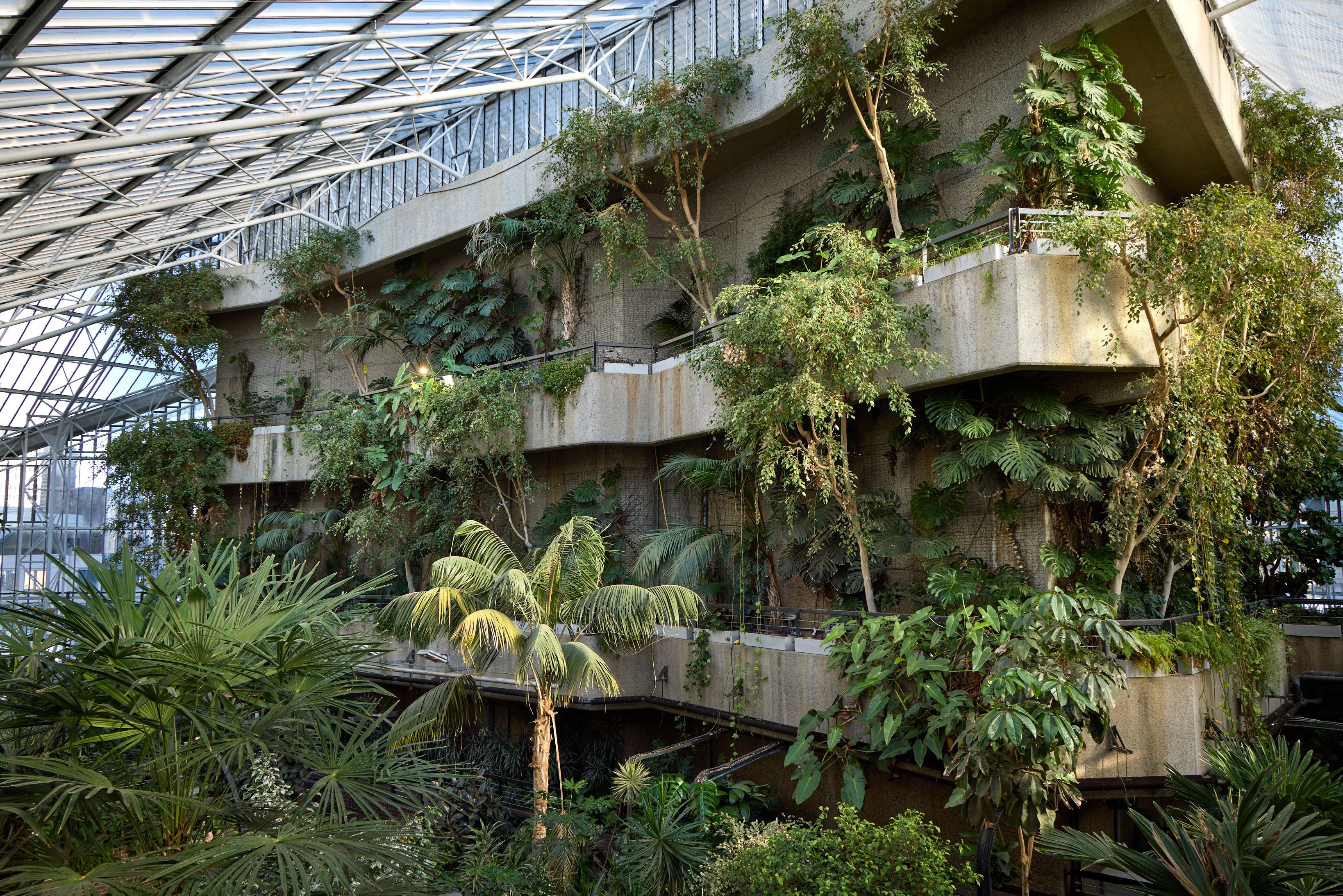 3277x2186 Harris Bugg Studio on its design for Barbican Conservatory. Wallpaper*