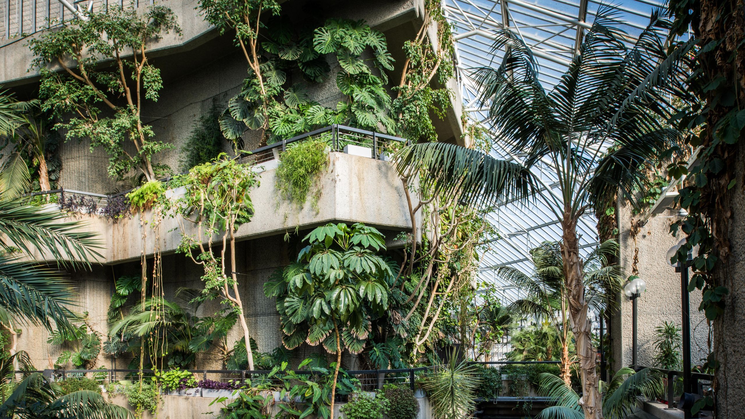 2560x1440 Londoners Can Now Take Home A Piece Of The Barbican Conservatory Before Its Three Year Closure