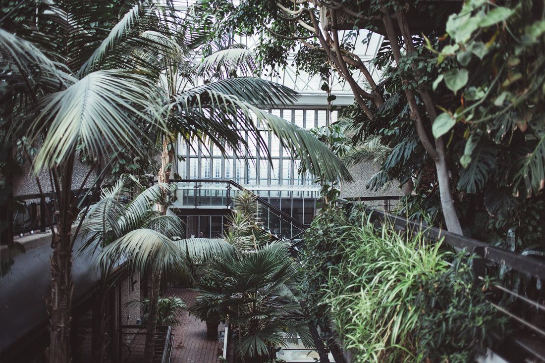1100x733 The Barbican Conservatory. The Garden Edit