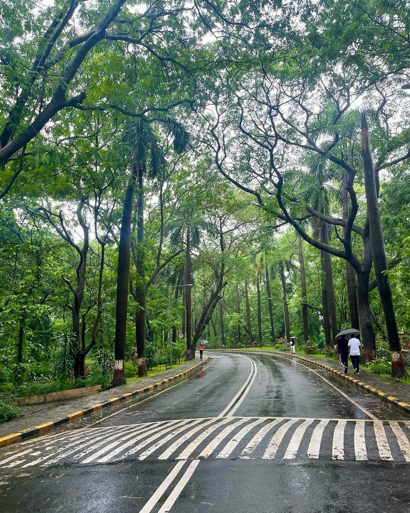 1440x1800 Serene beauty of IIT Bombay Campus