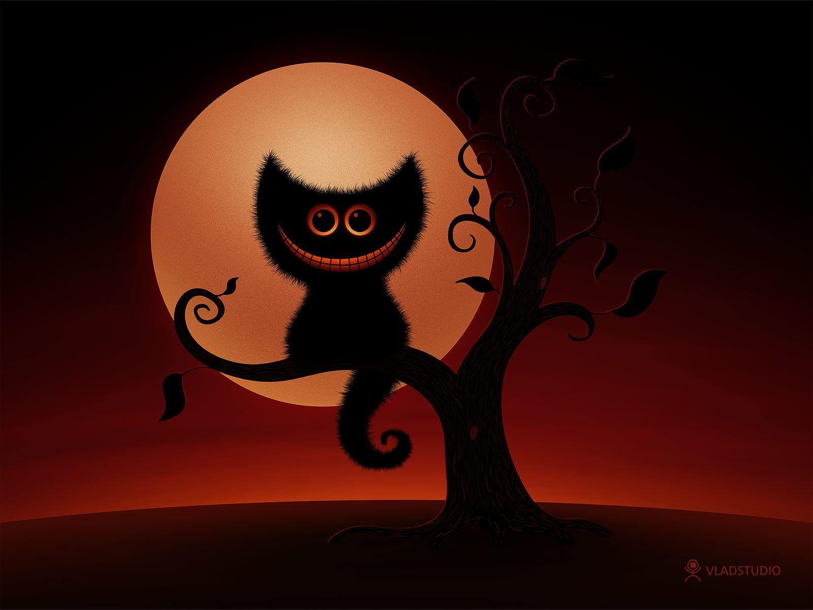 1600x1200 Halloween Kitten Wallpaper
