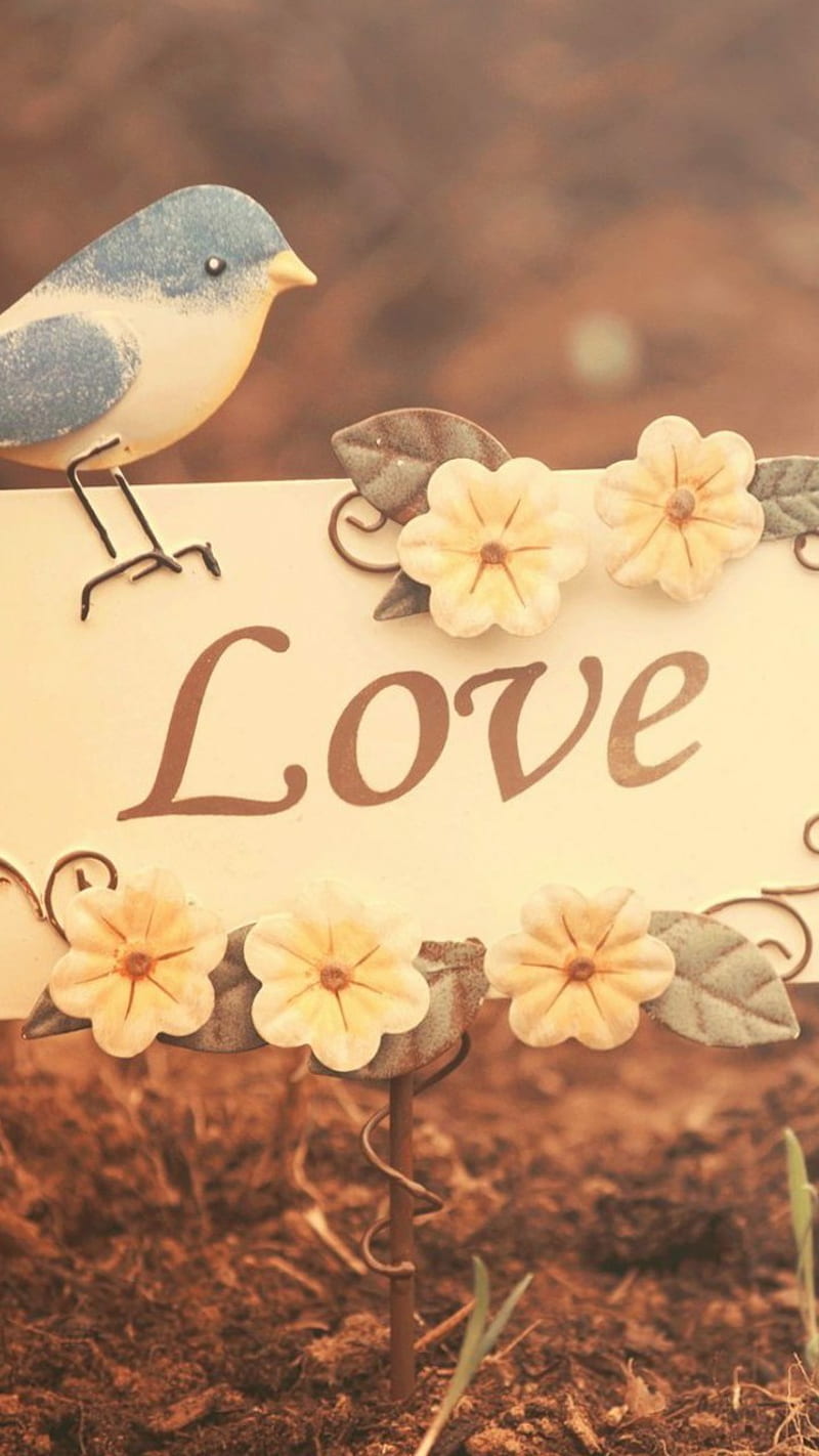 800x1422 Simply Love, bird, sign, HD phone wallpaper