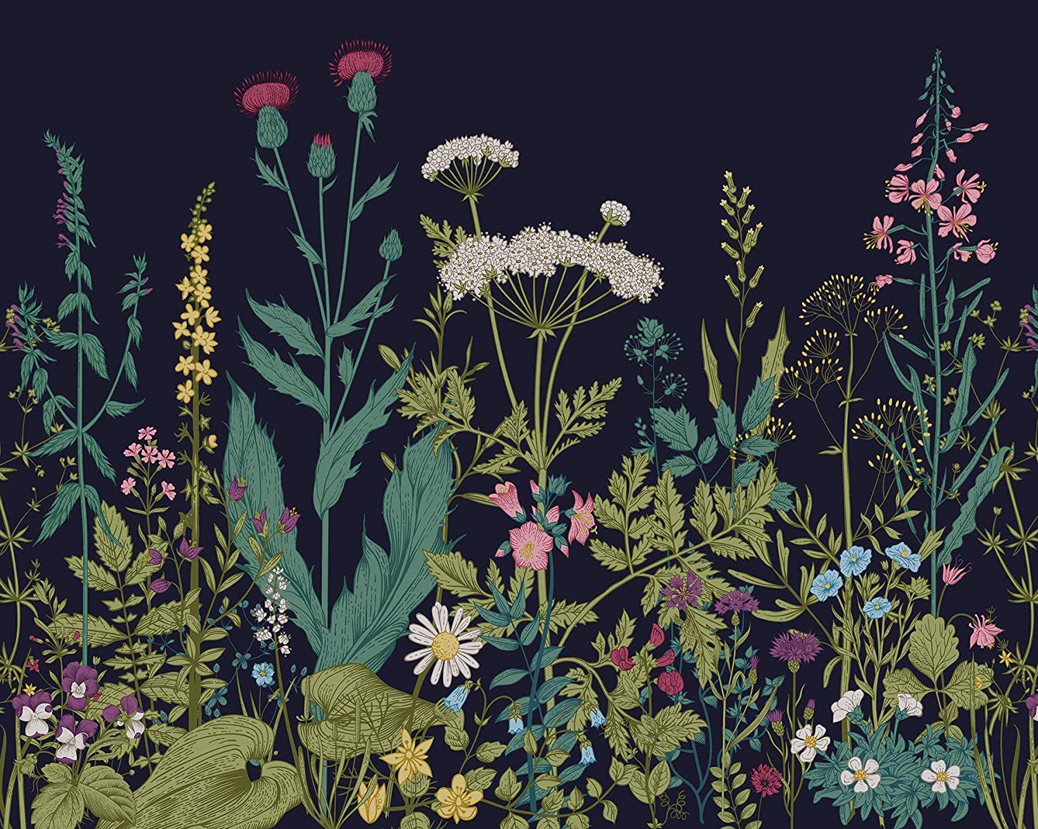 1500x1199 Bright whimsical flowers with black background