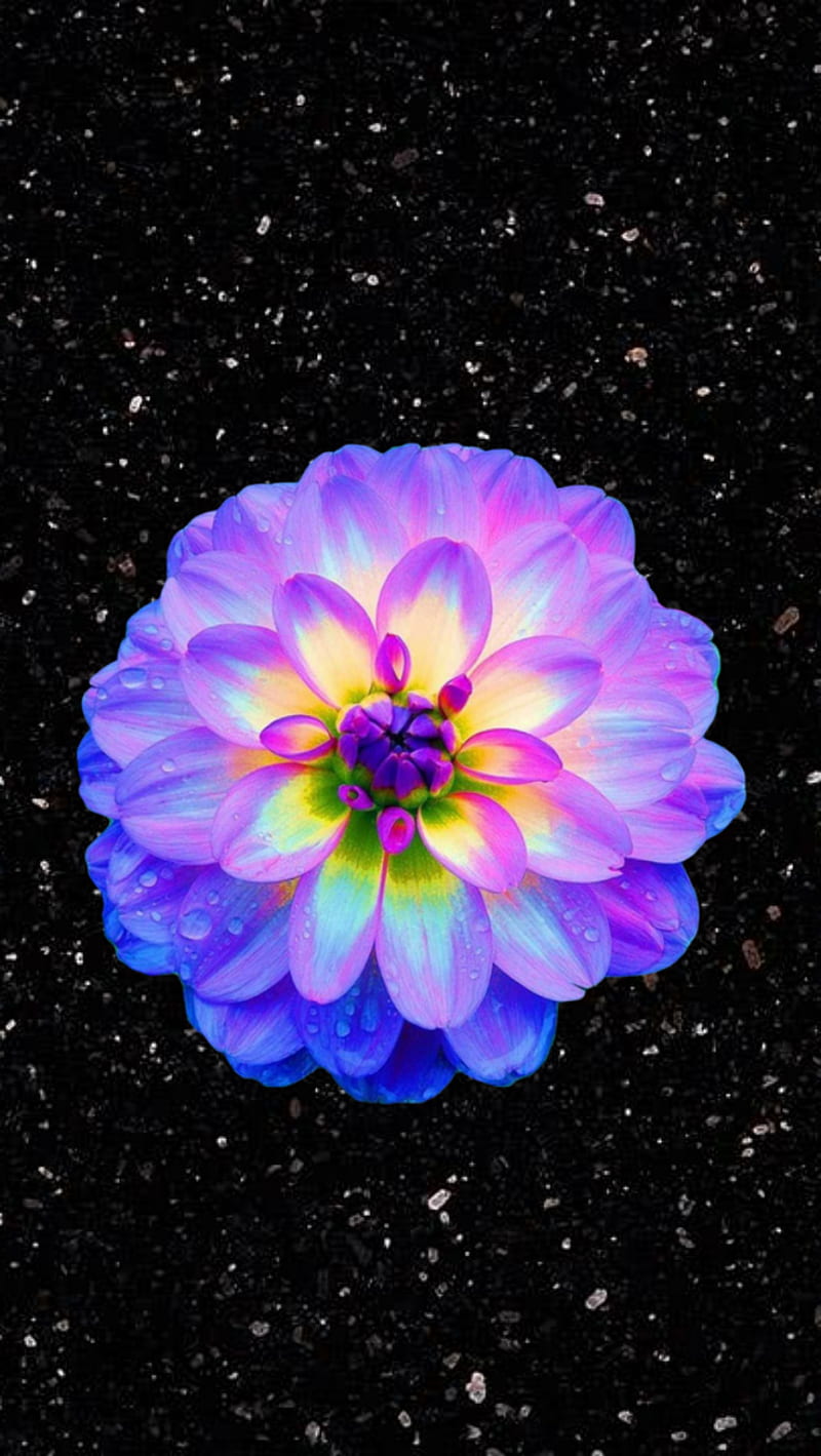800x1419 Pretty Bright Flower, background, black, galaxy, glowing, neon, space, HD phone wallpaper