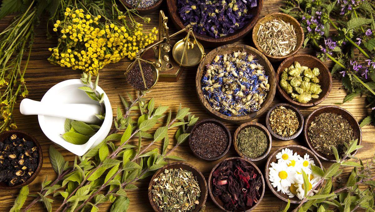 Herbal Medicine Wallpapers - Top Free Herbal Medicine Backgrounds