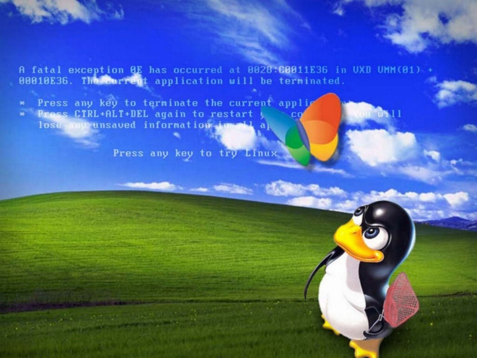 1600x1200 