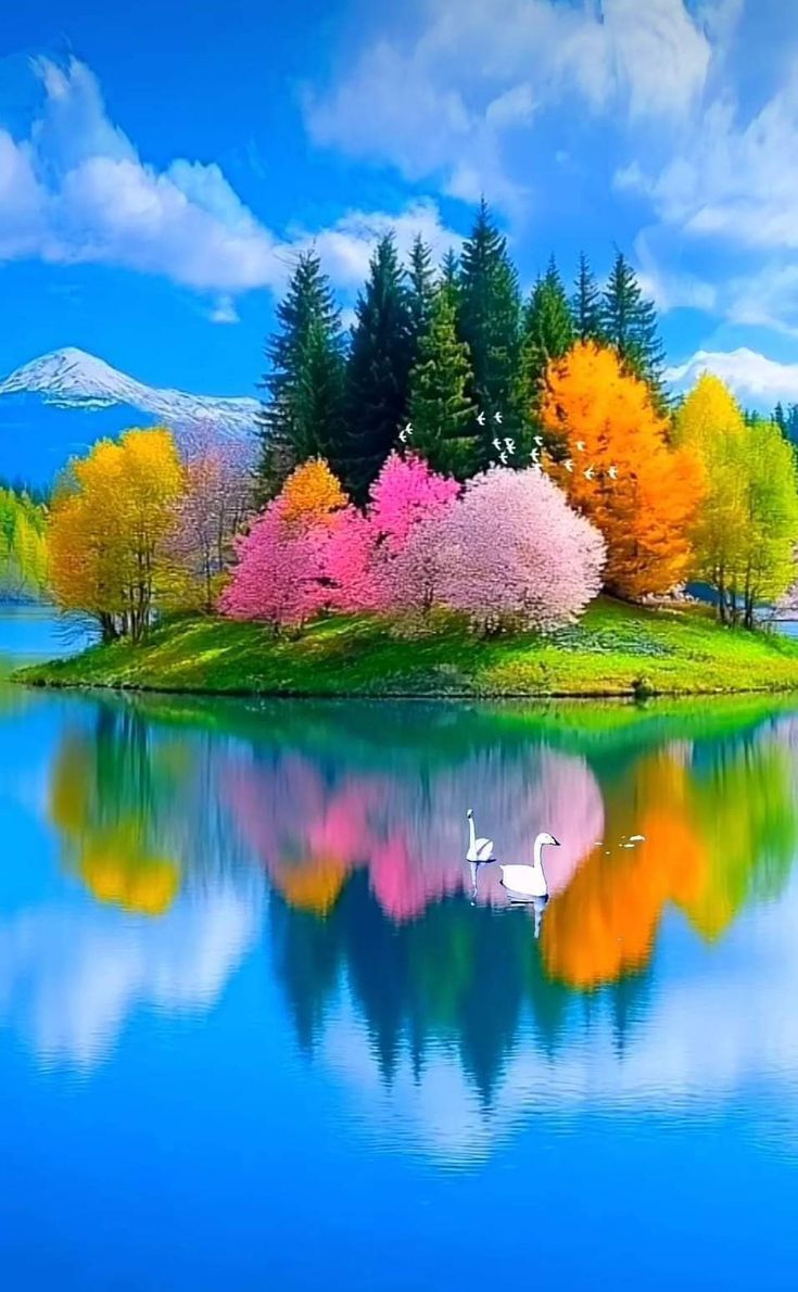735x1190 beautiful nature HD wallpaper, beautiful nature image, peaceful nature