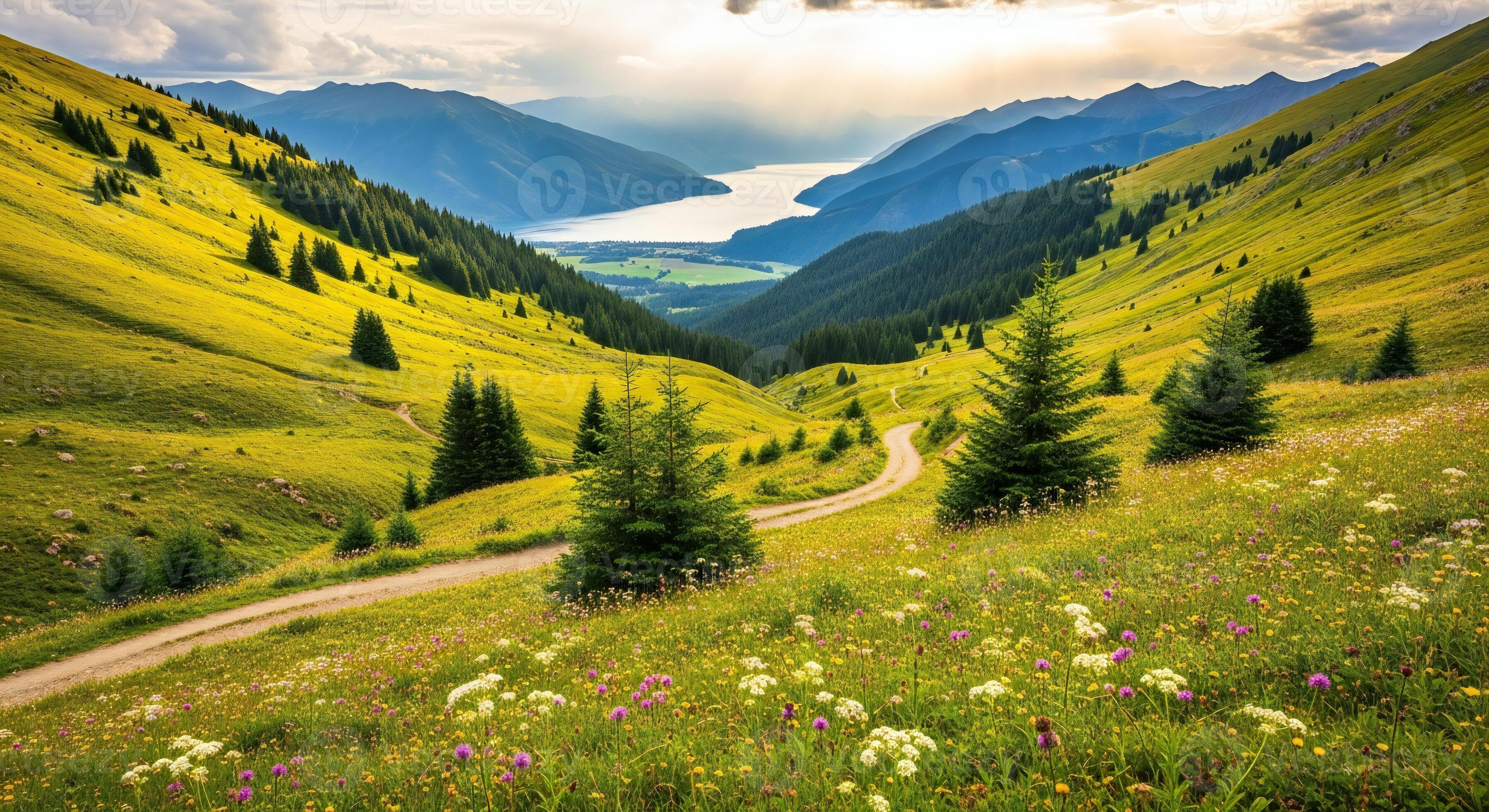 3593x1960 Nature background, Nature wallpaper, A winding dirt path through a vibrant alpine meadow with distant mountains and a lake