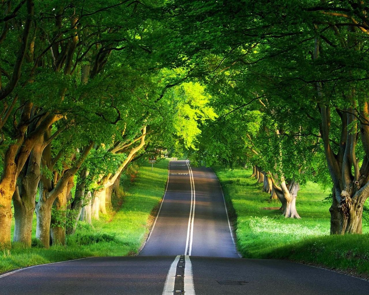 1280x1024 Road Summer Beautiful Natural Scenery Desktop Wallpaper