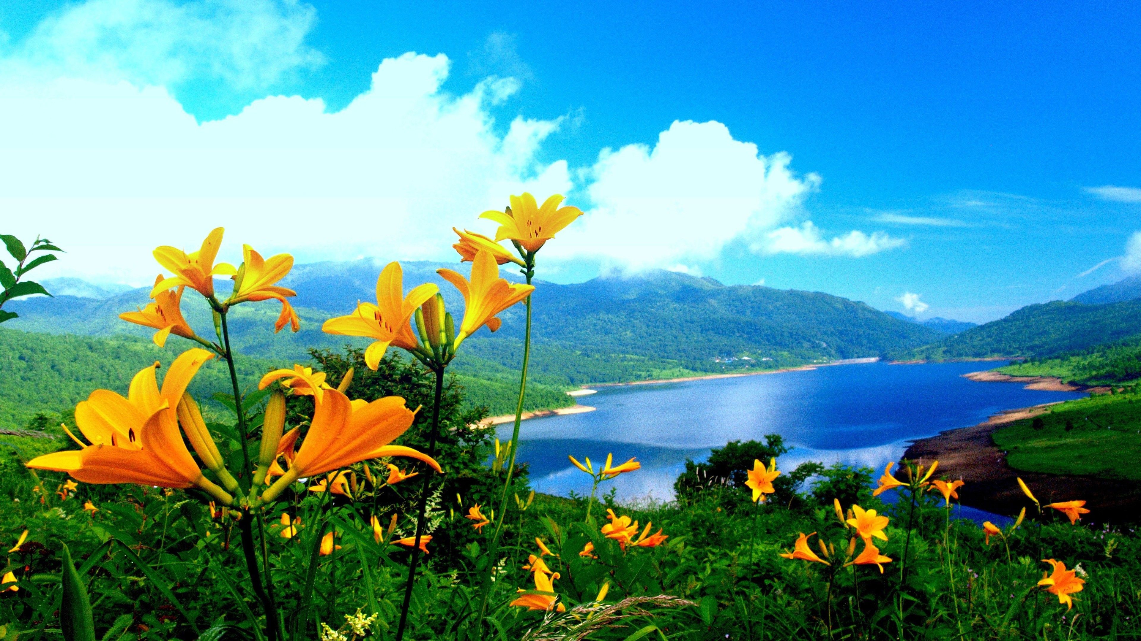 3840x2160 Beautiful Scenery View Of Body Of Water Surrounded By Green Trees Covered Mountains And Closeup View Yellow Flowers Plants Under Blue Sky 4K HD Nature Wallpaper