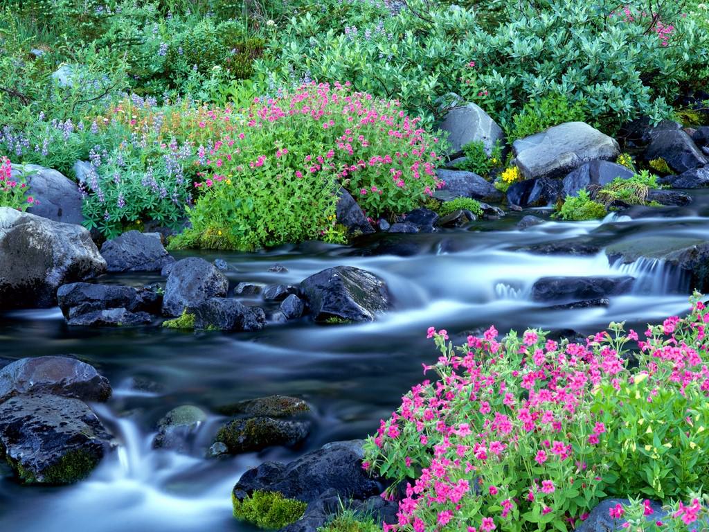 1024x768 FREE Scenery Wallpaper in PSD