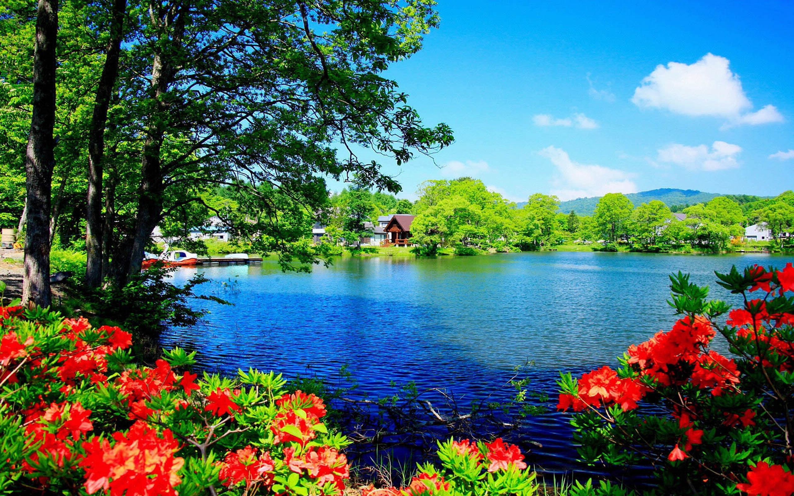 2560x1600 Natural Scenery Wallpaper