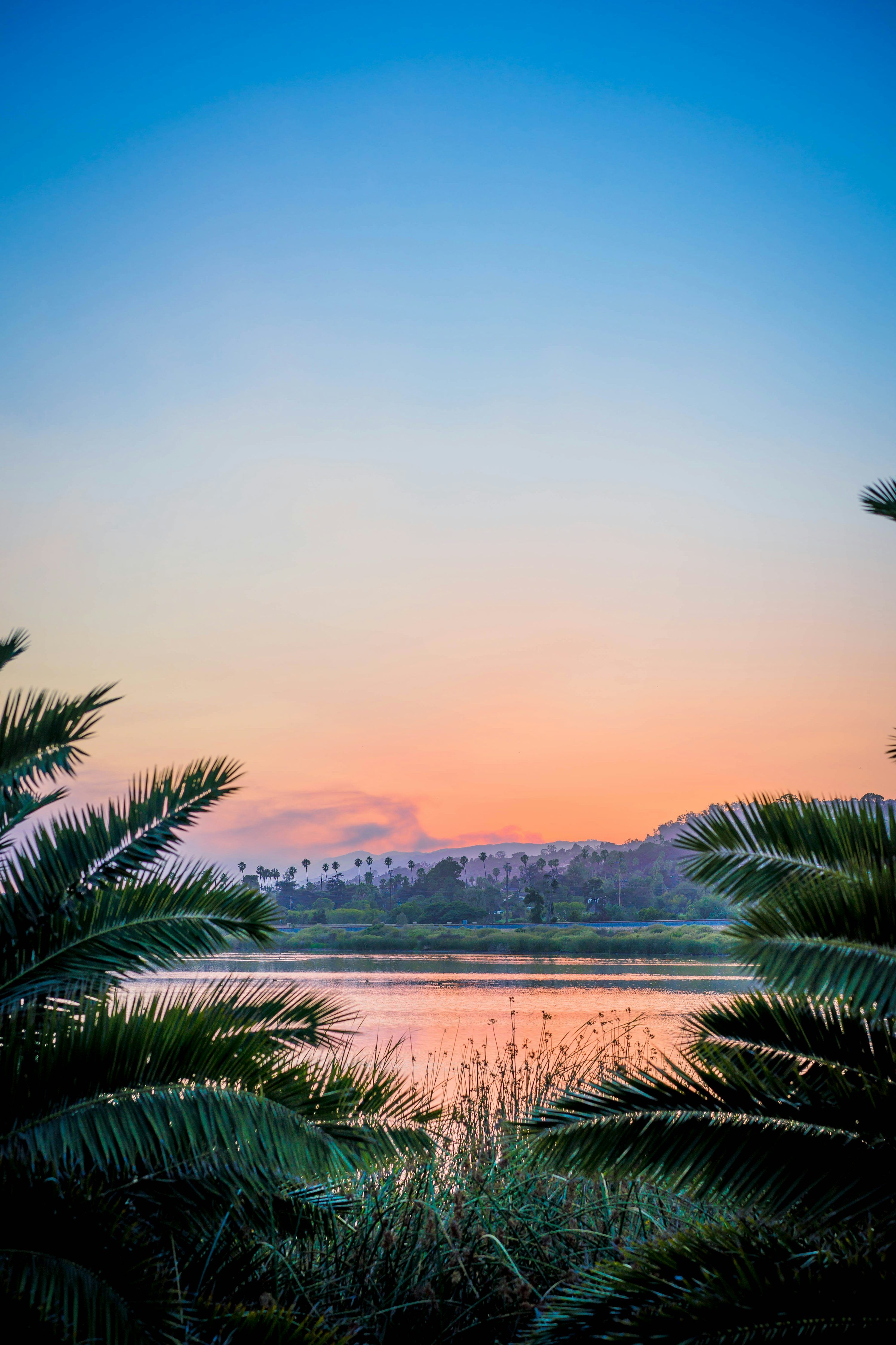 3000x4500 Beautiful Nature Wallpaper Picture. Download Free Image