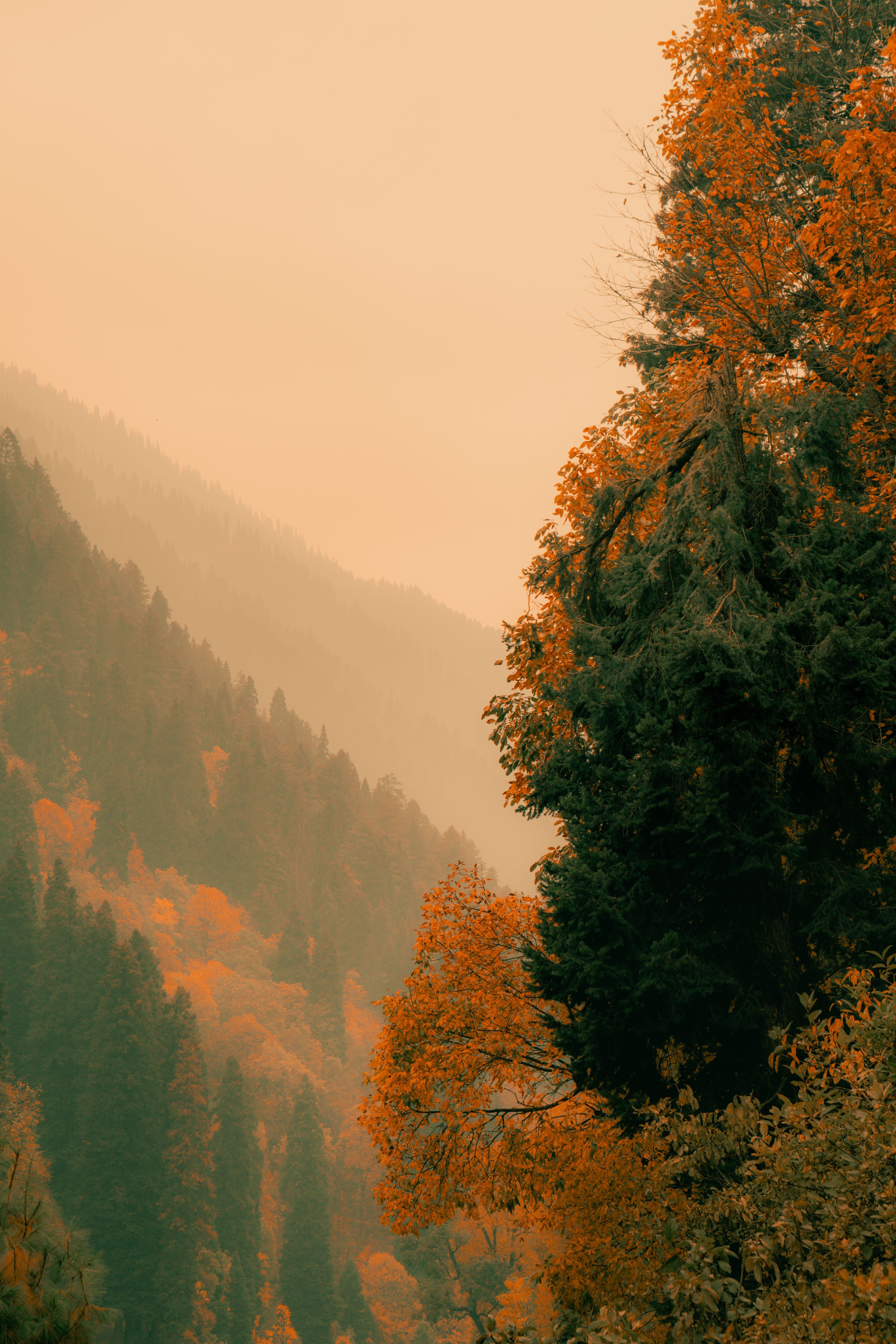 4000x6000 Best Nature Wallpaper Photo · 100% Free Downloads