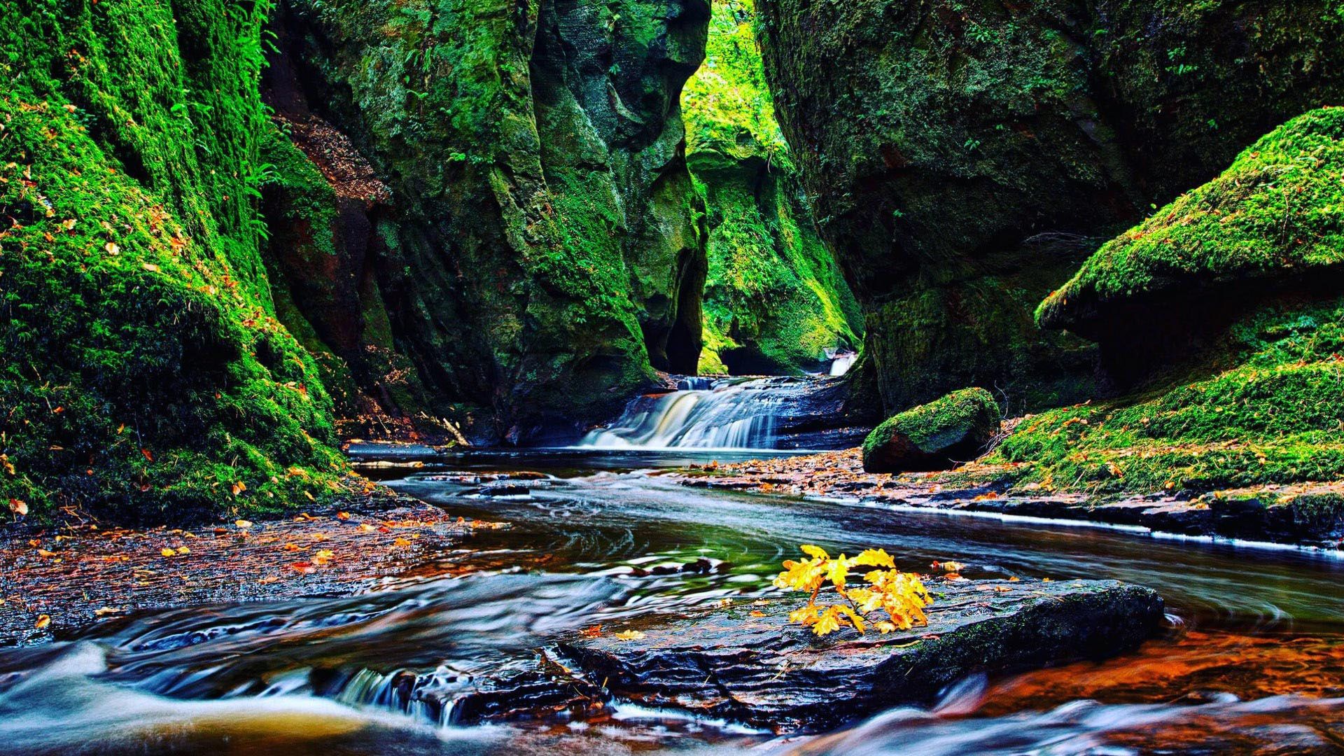 1920x1080 Beautiful Scenery Nature Desktop Background Algae Covered Rocks Mountains Water Stream HD Nature Wallpaper