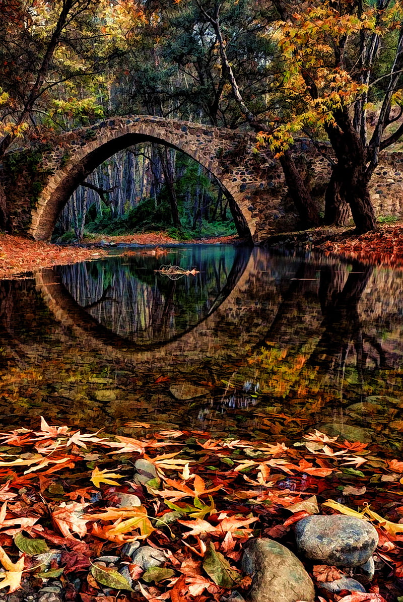 800x1195 Scenery, bridge, nature pretty, water, HD phone wallpaper