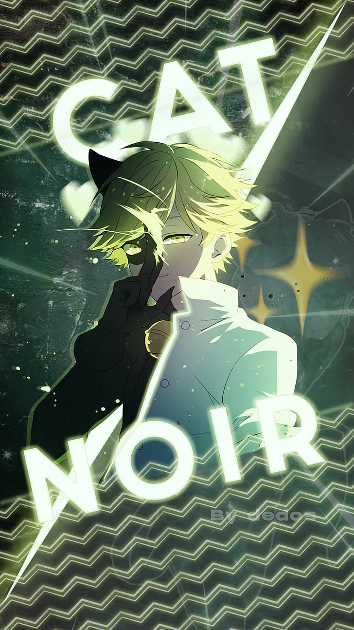 728x1294 HD wallpaper: Ladybug (Miraculous Ladybug), Cat Noir