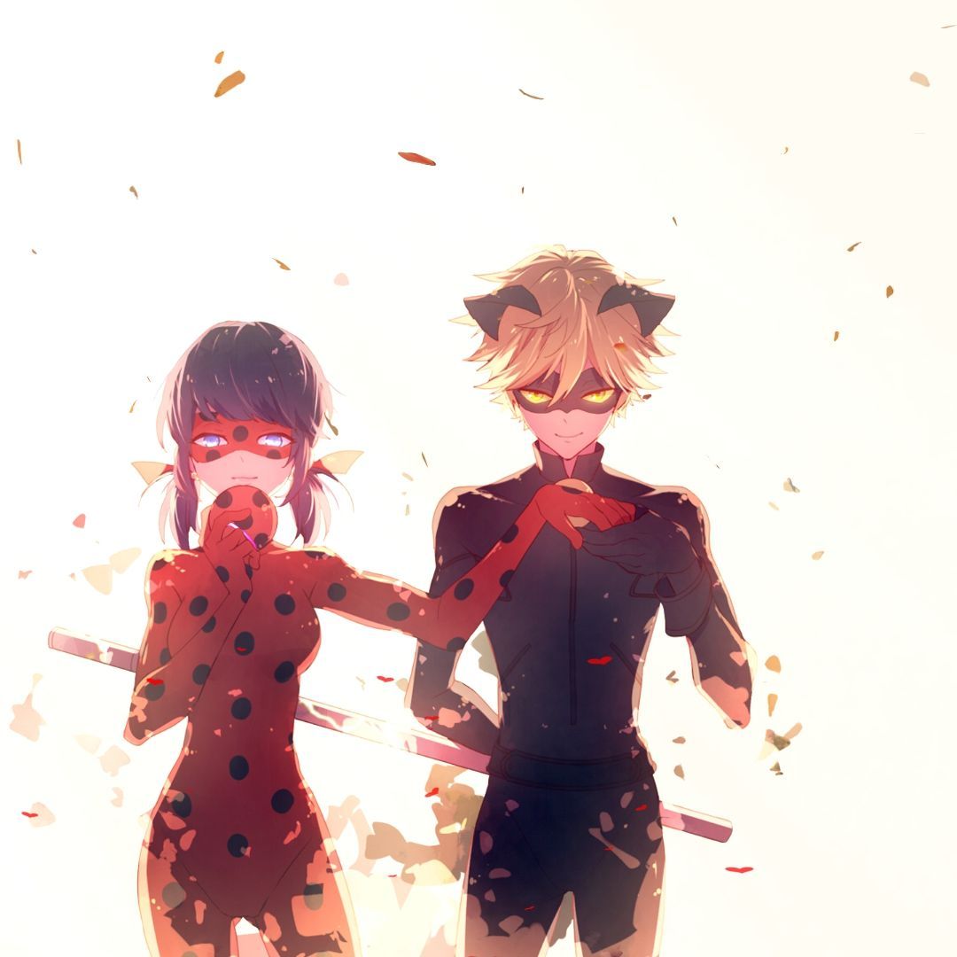 1080x1080 Ladybug Chat Noir Wall Paper Miraculous Ladybug Anime Characters Miraculous Ladybug Cat Noir Wallpaper, New Ladybug