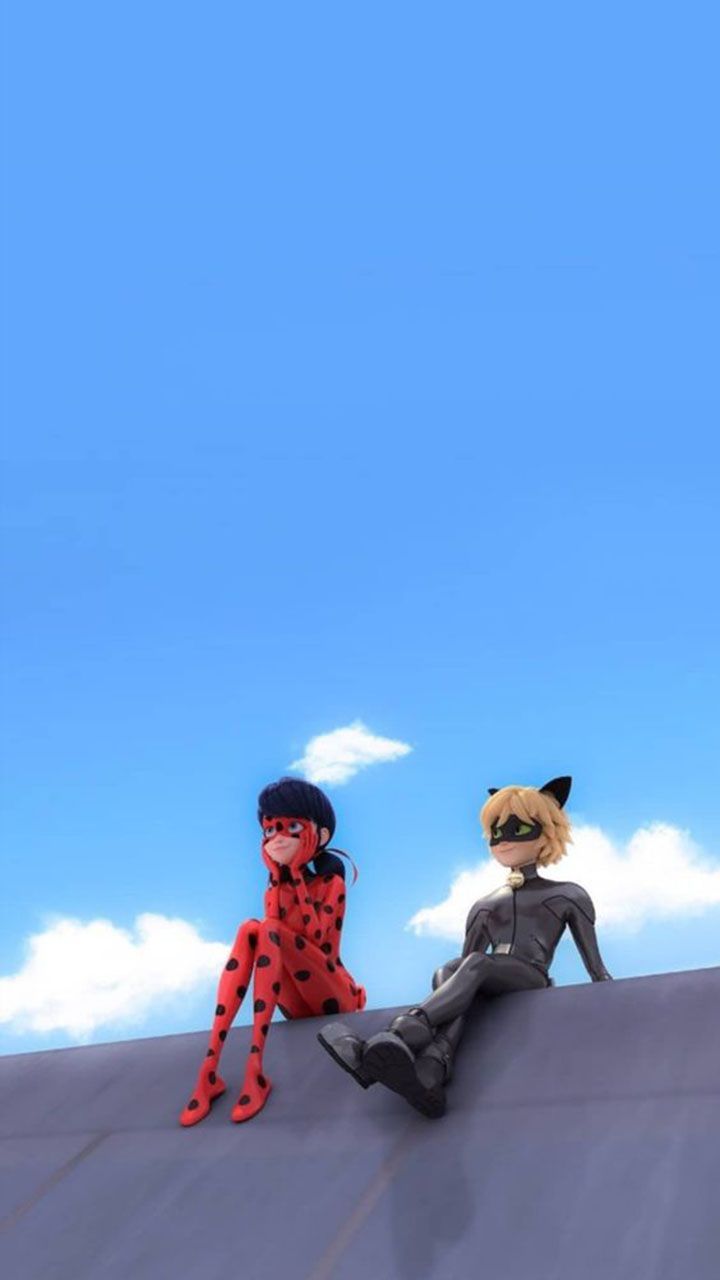720x1280 Ladybug