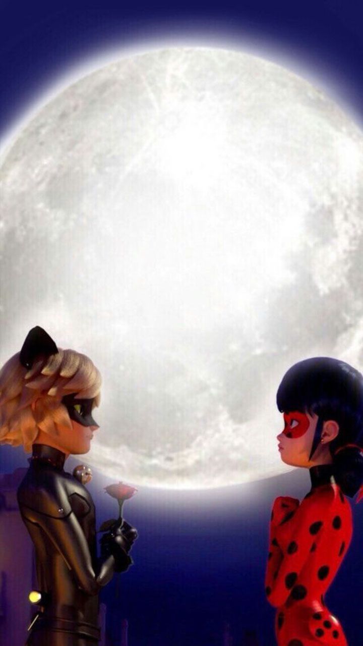 720x1280 Mlblocks Characters in Front of a Full Moon. Chat noir fanart, Miraculous ladybug and cat noir, Of ladybug and cat noir