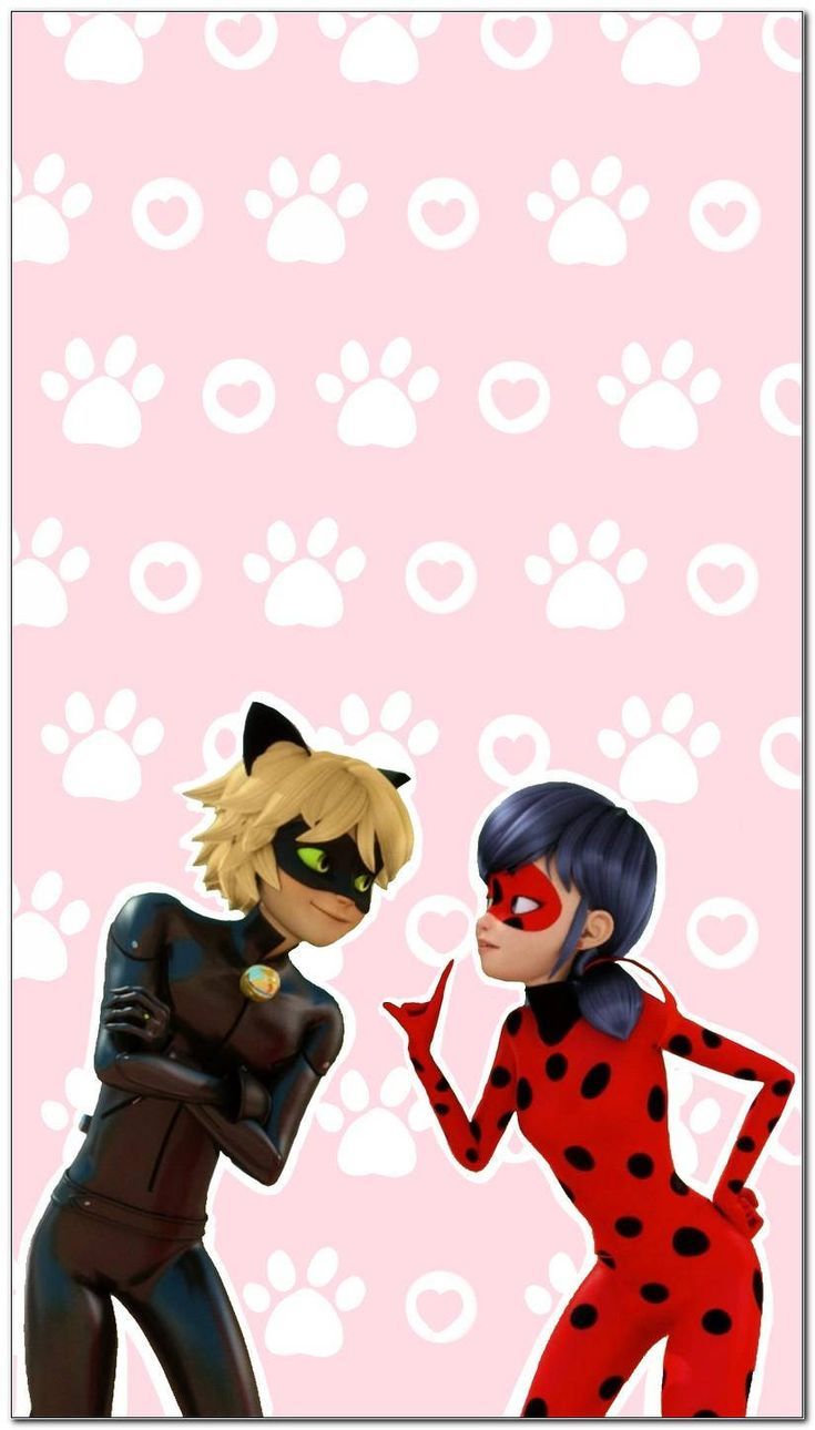 735x1290 Download Pink Ladybug And Cat Noir Phone Wallpaper