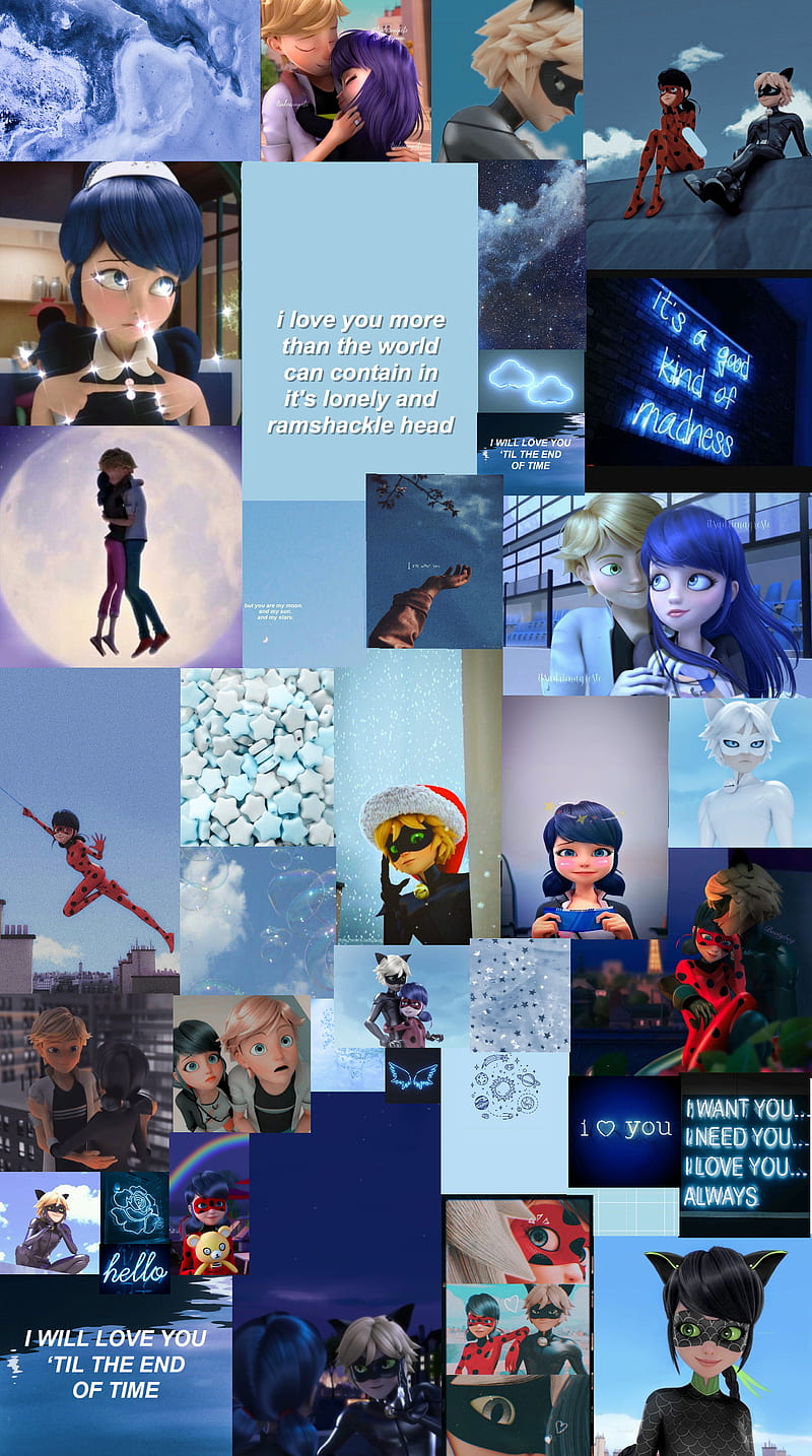 800x1434 Ladybug, catnoir, HD phone wallpaper