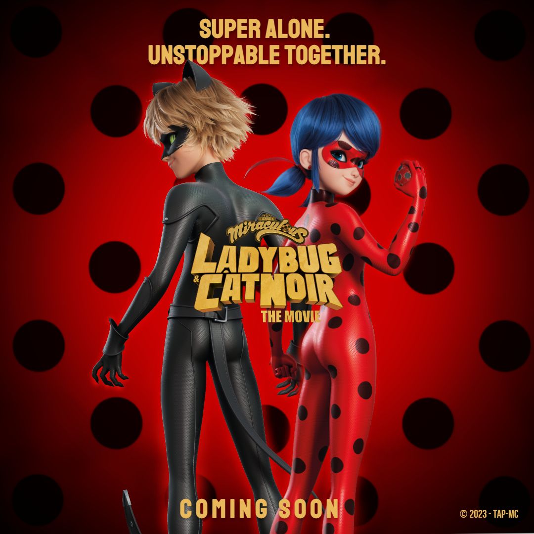 1080x1080 Ladybug Chat Noir Wall Paper Adrien Agreste Funny Cat Noir WallpaperOK