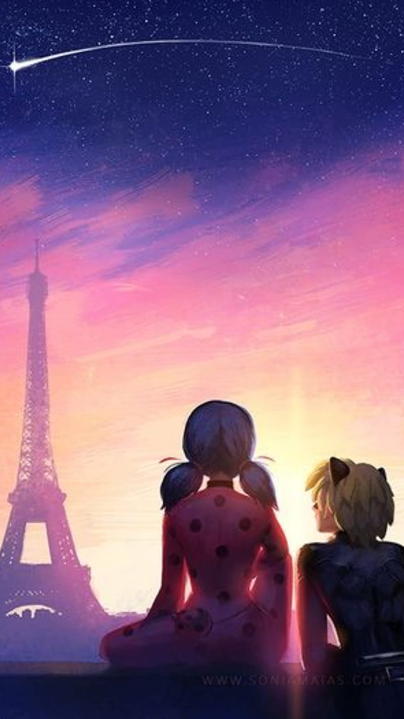 800x1422 Ladynoir rooftop, adrien, cat noir, ladybug, love, marionette, miraculous, moon, HD phone wallpaper