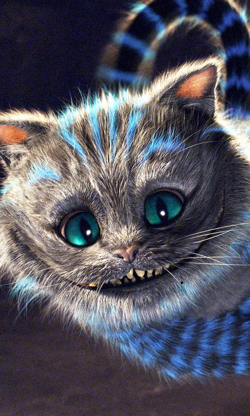 800x1333 Cheshire Cat, alice in wonderland, animated, cat, movies, HD phone wallpaper
