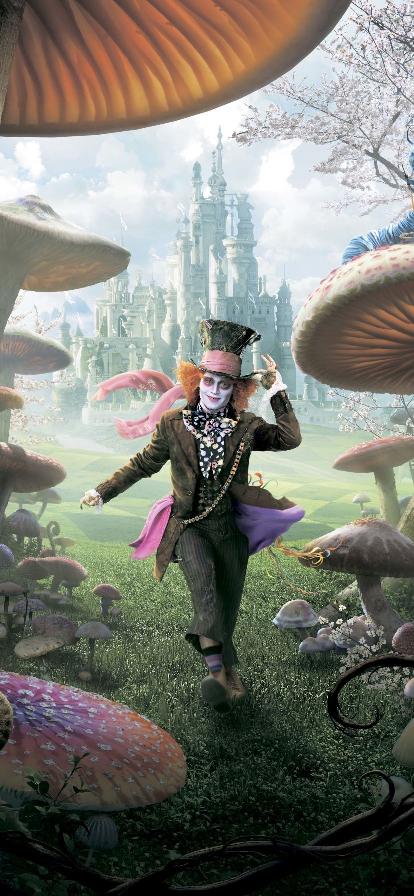 828x1792 Phone wallpaper: Johnny Depp, Movie, Alice In Wonderland (2010), Mad Hatter 1394714