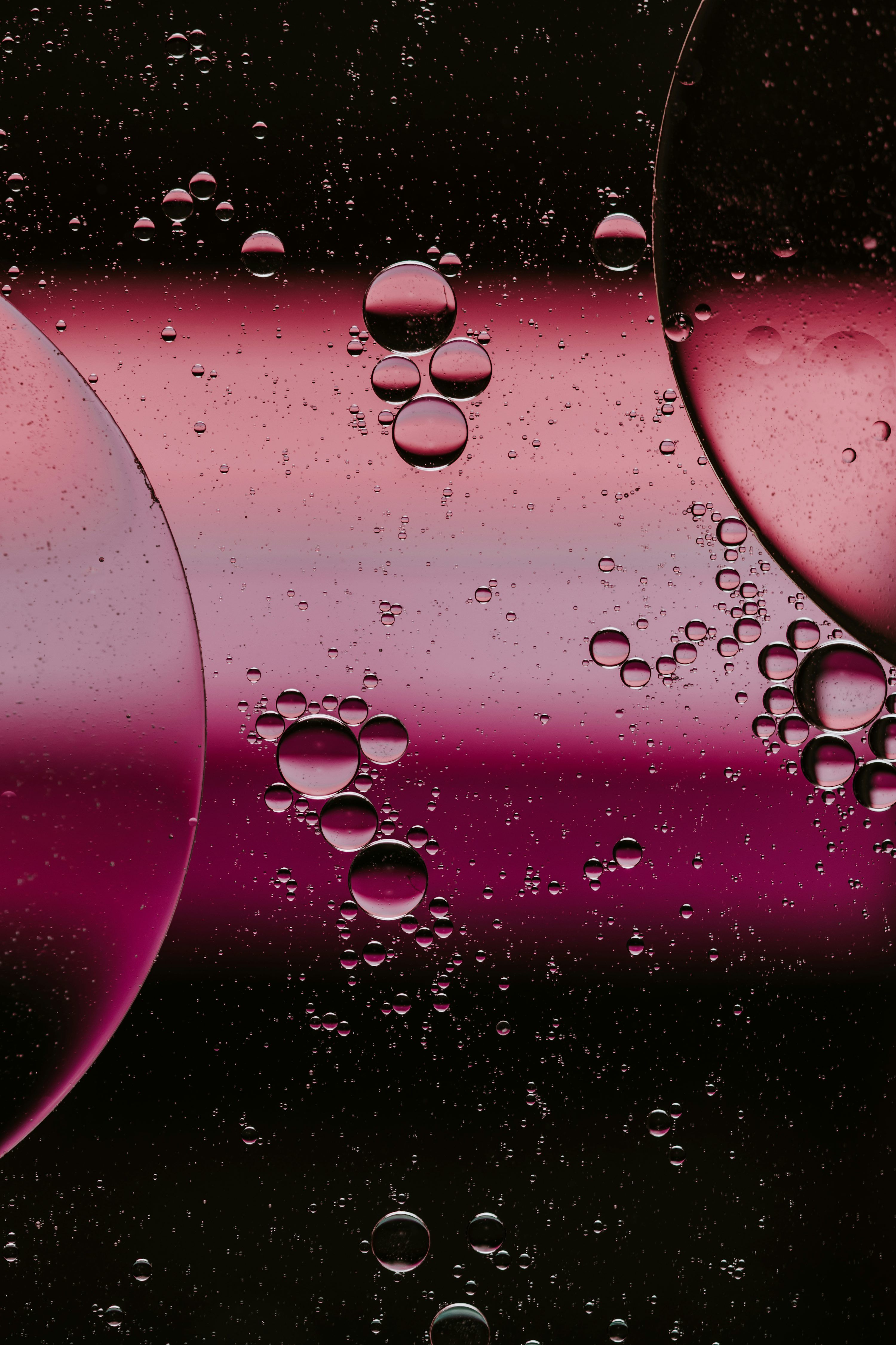 3000x4500 Pink And Black Picture. Download Free Image