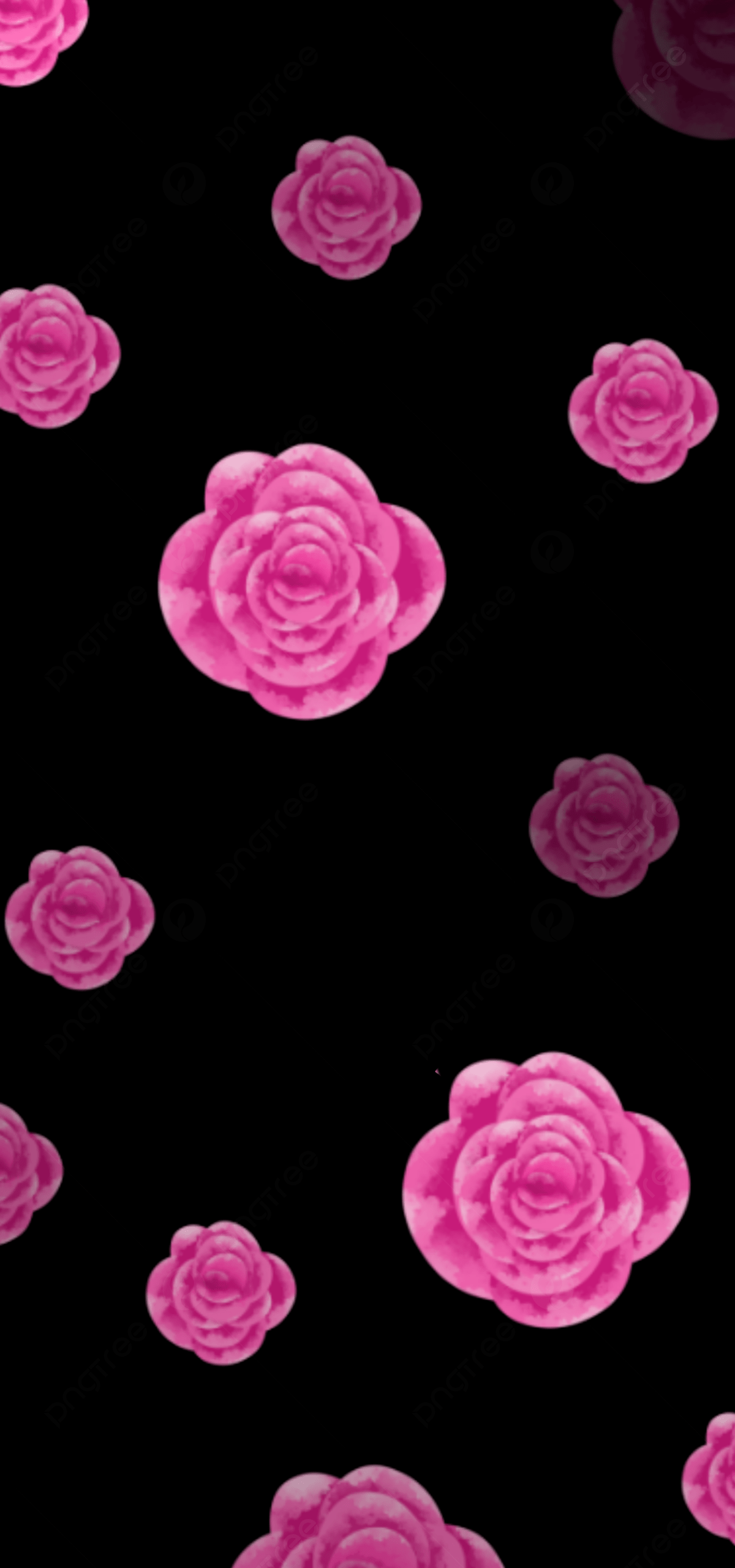 1200x2560 Watercolor Pink Rose Black Wallapaper Background Wallpaper Image For Free Download