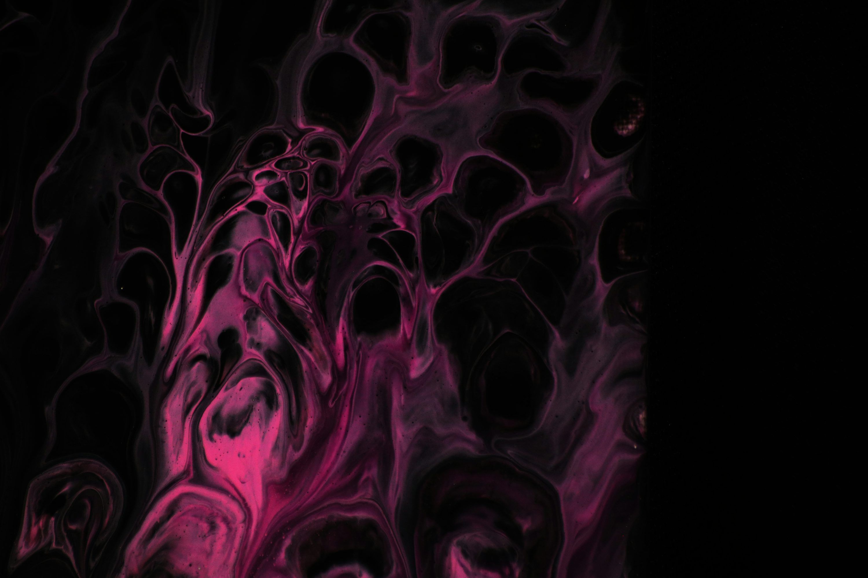 3000x2000 Pink And Black Picture. Download Free Image