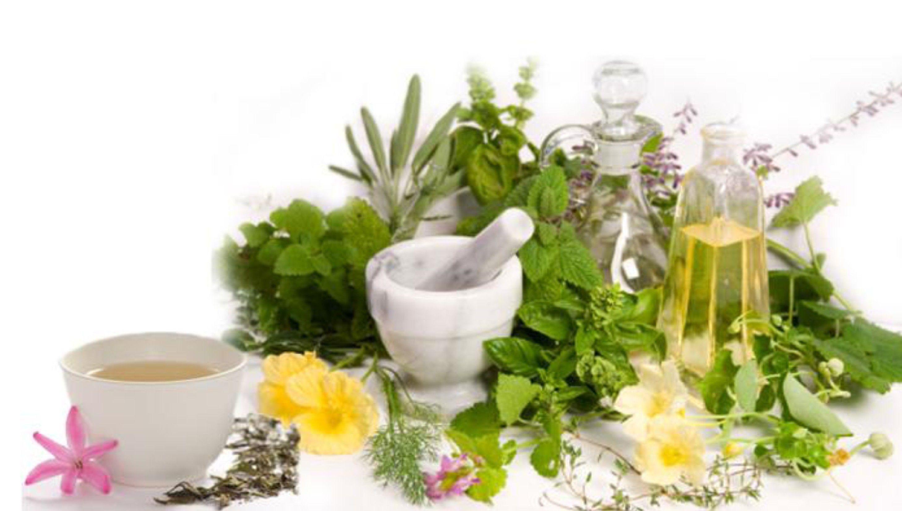 Herbal Medicine Wallpapers - Top Free Herbal Medicine Backgrounds ...