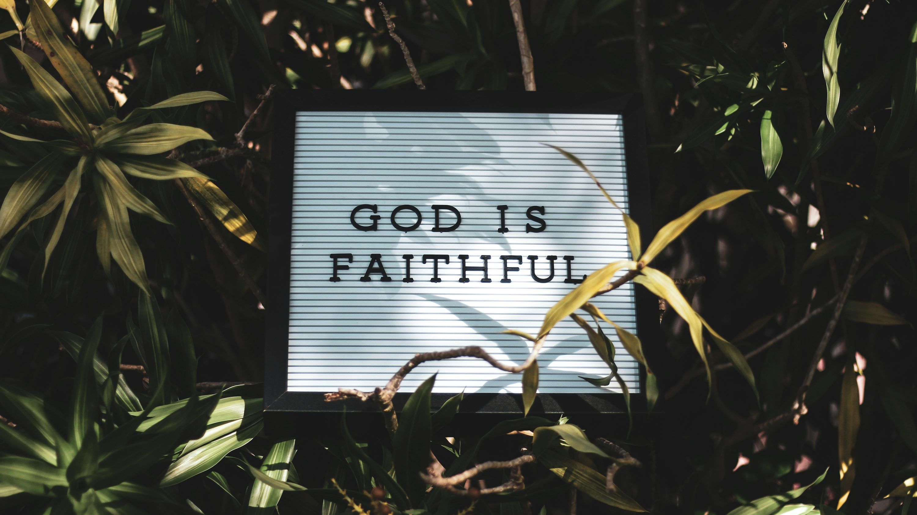 3000x1685 God is Faithful signage with leaved background
