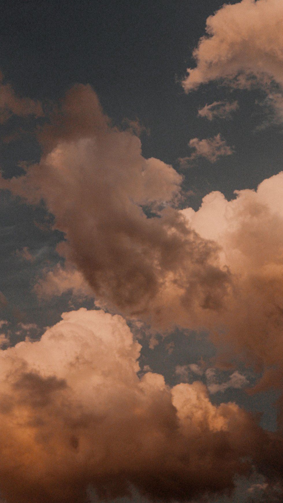 980x1743 Light Brown Aesthetic Wallpaper