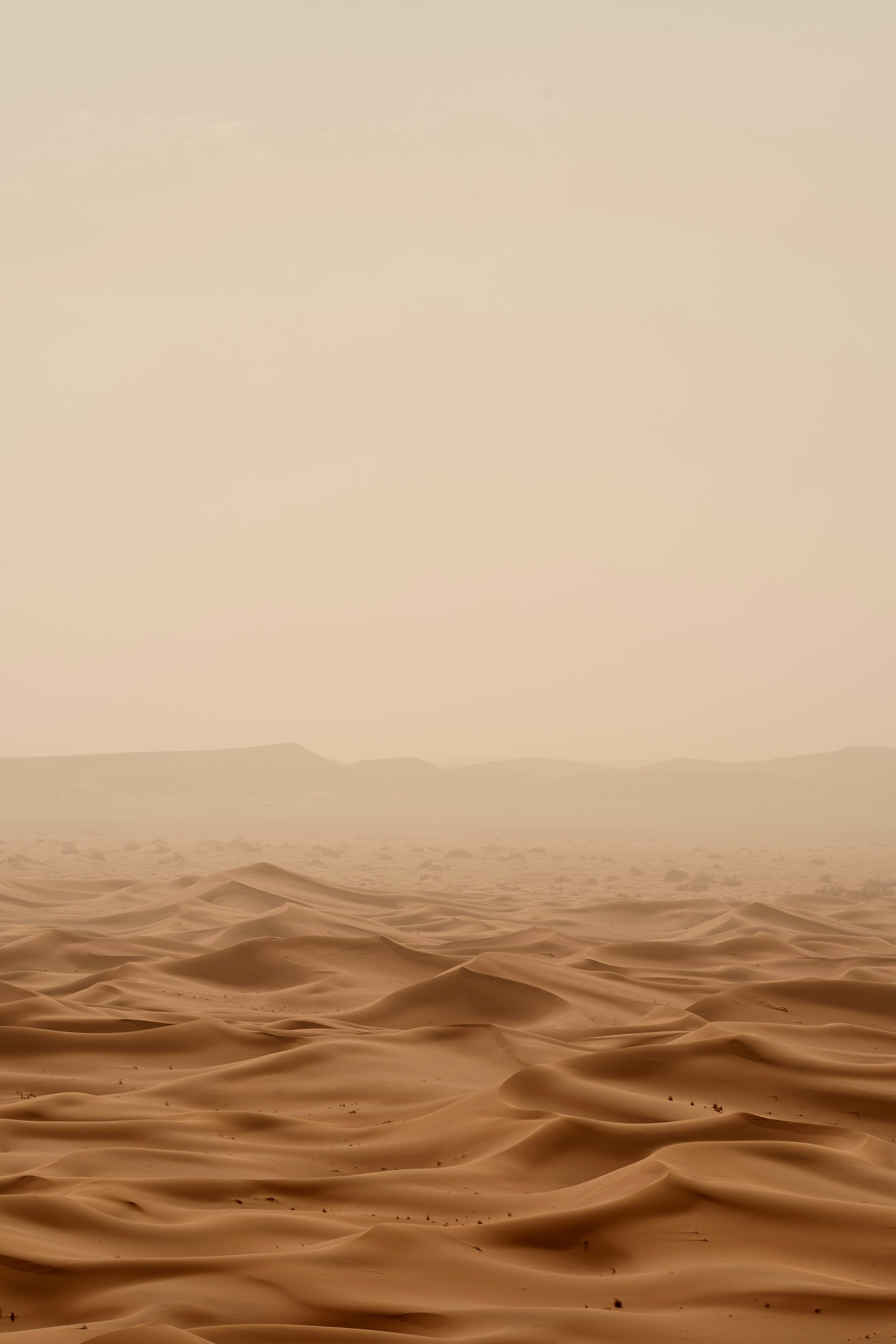 3000x4500 Brown Aesthetic Picture. Download Free Image