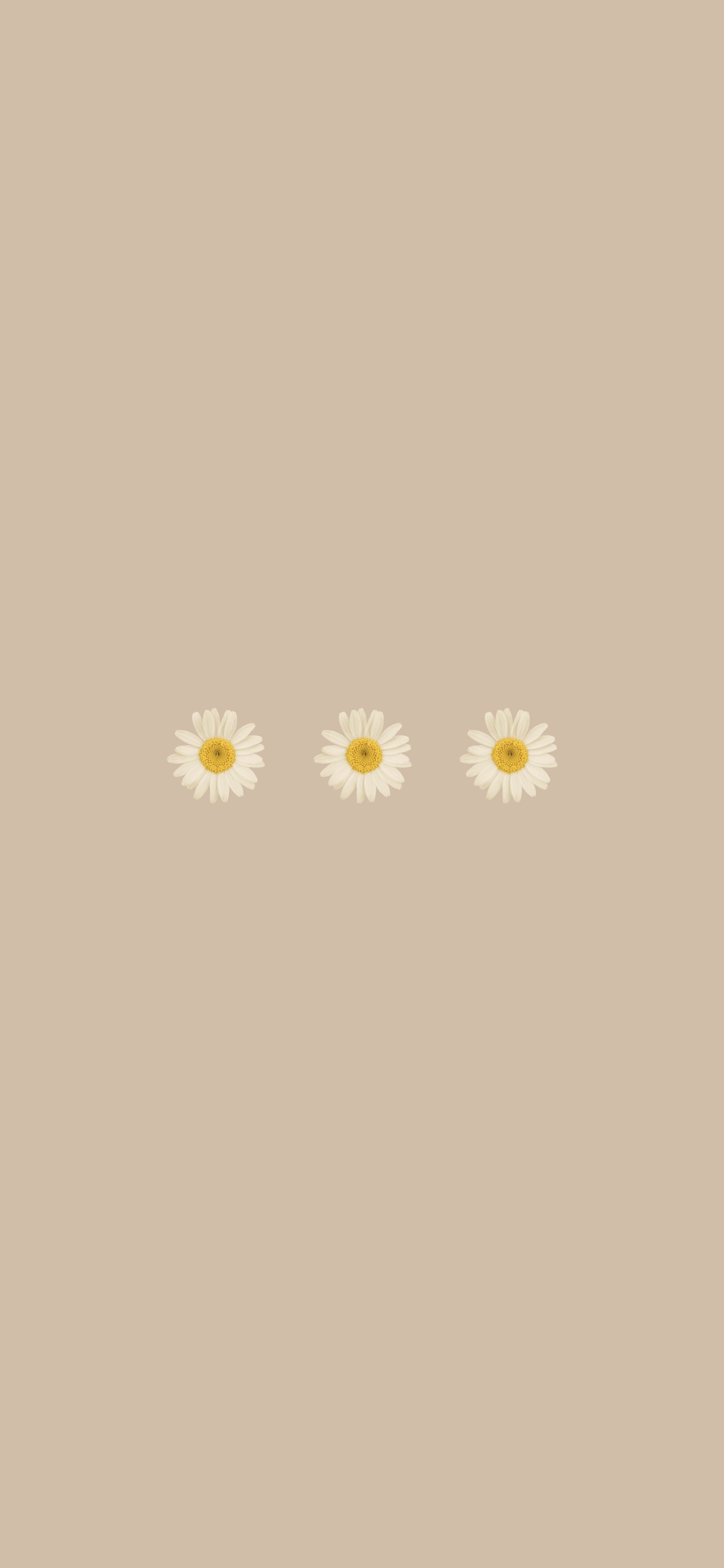 2437x5275 Brown Aesthetic Wallpaper Downloads For Your Phone! (Adorable & High Quality)