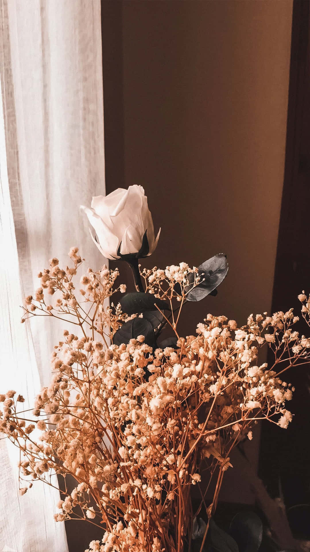 1080x1920 Dark Brown iPhone Wallpaper