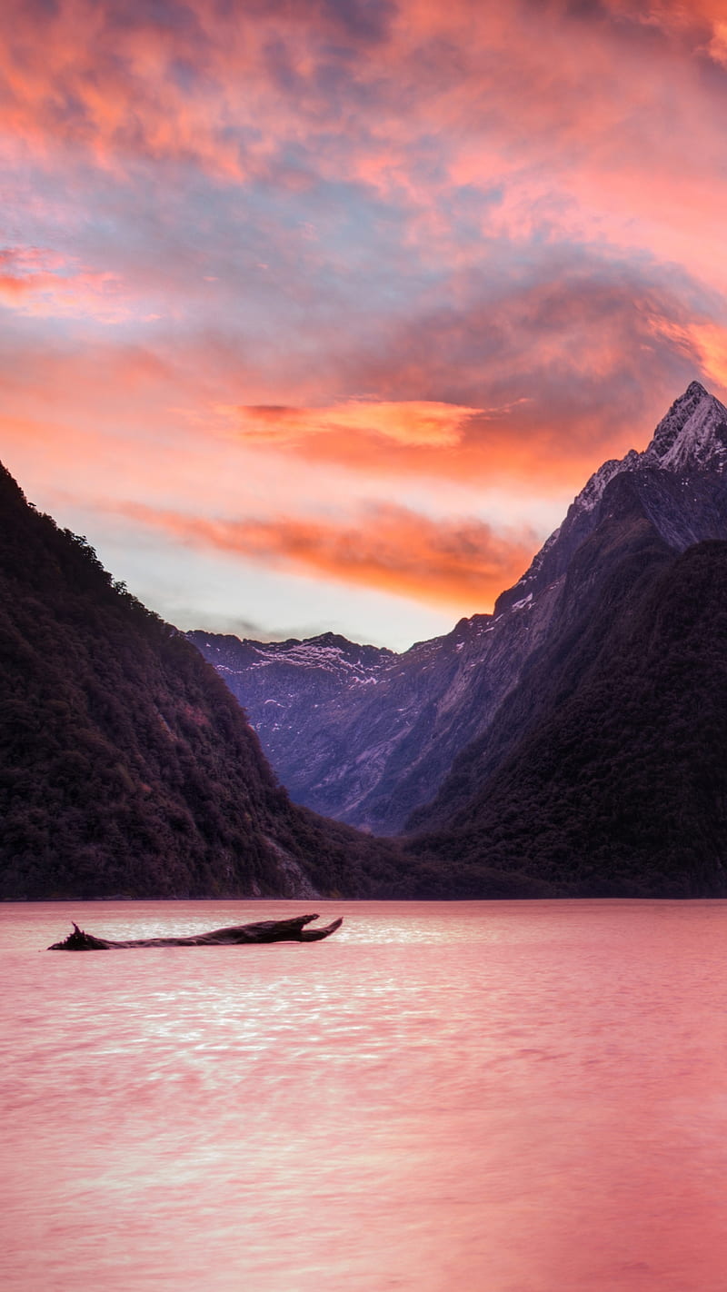 800x1422 Milford Sound, milford sound, fjord, nature, mountain, driftwood, peak, new zealand, HD phone wallpaper