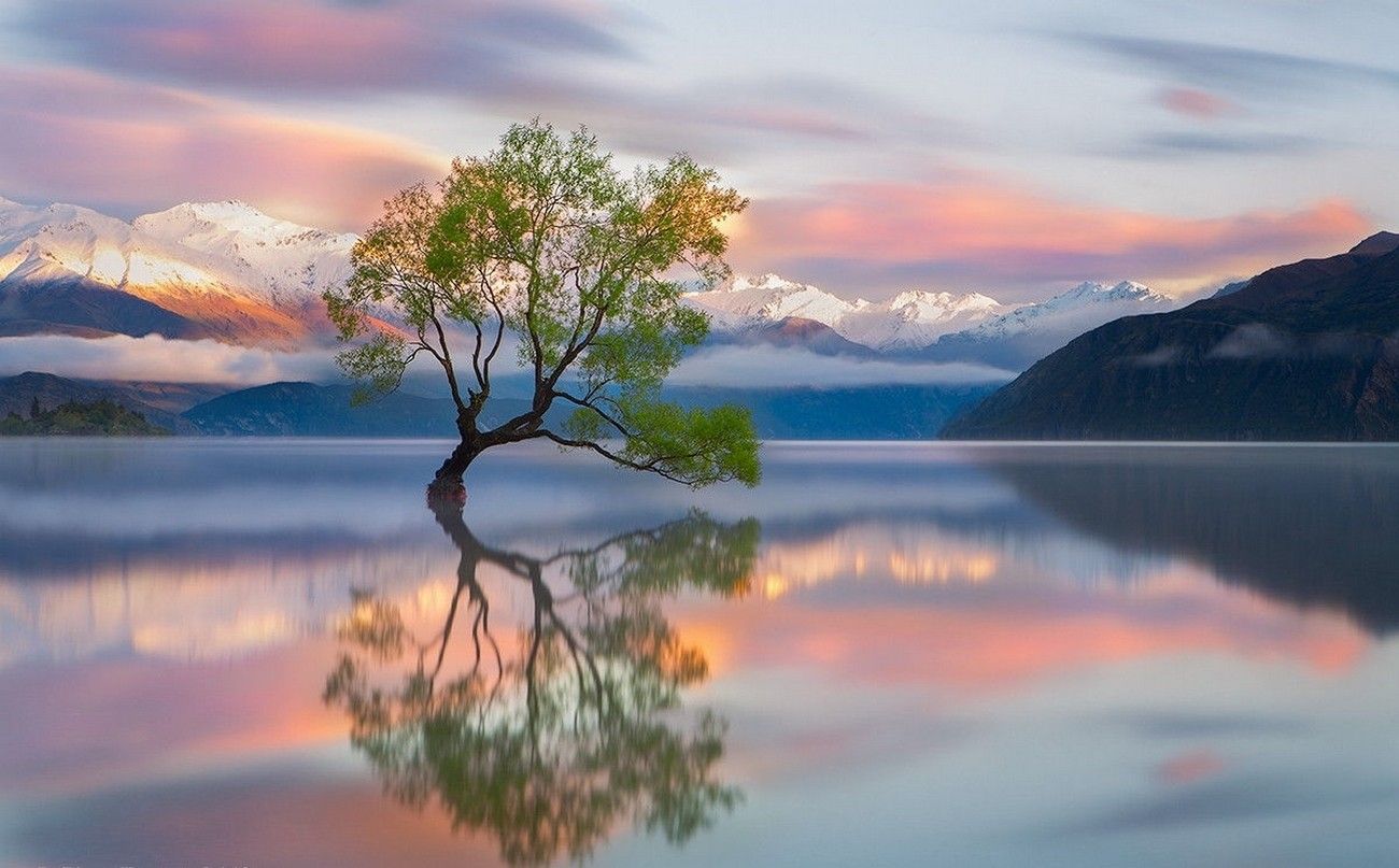1300x807 photography, Nature, Landscape, Trees, Mountains, Snowy peak, Lake Wanaka, Reflection, Sunrise, New Zealand, Calm waters Wallpaper HD / Desktop and Mobile Background