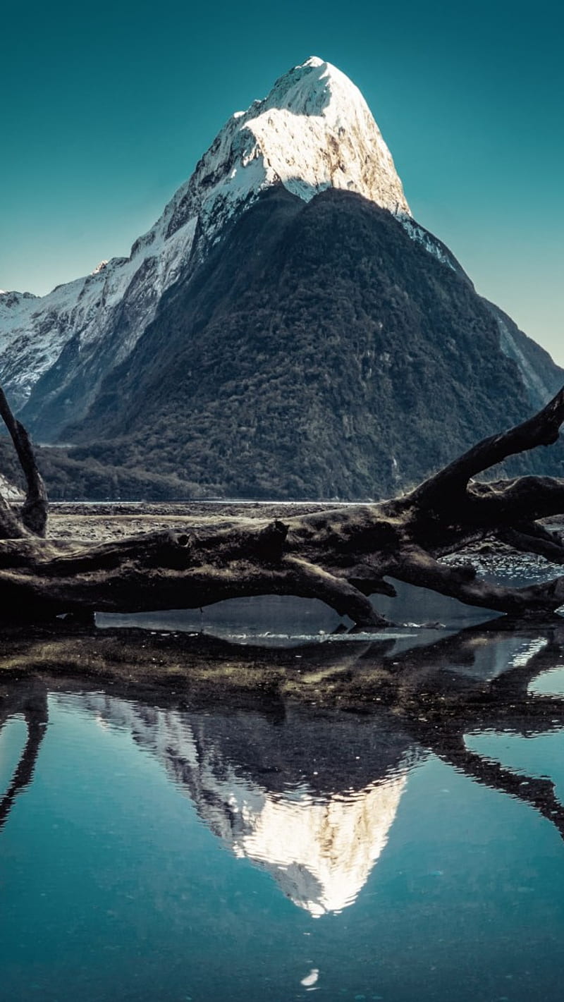 800x1421 World Milford Sound, World, Milford Sound, Mitre Peak, Moon, HD Phone Wallpaper