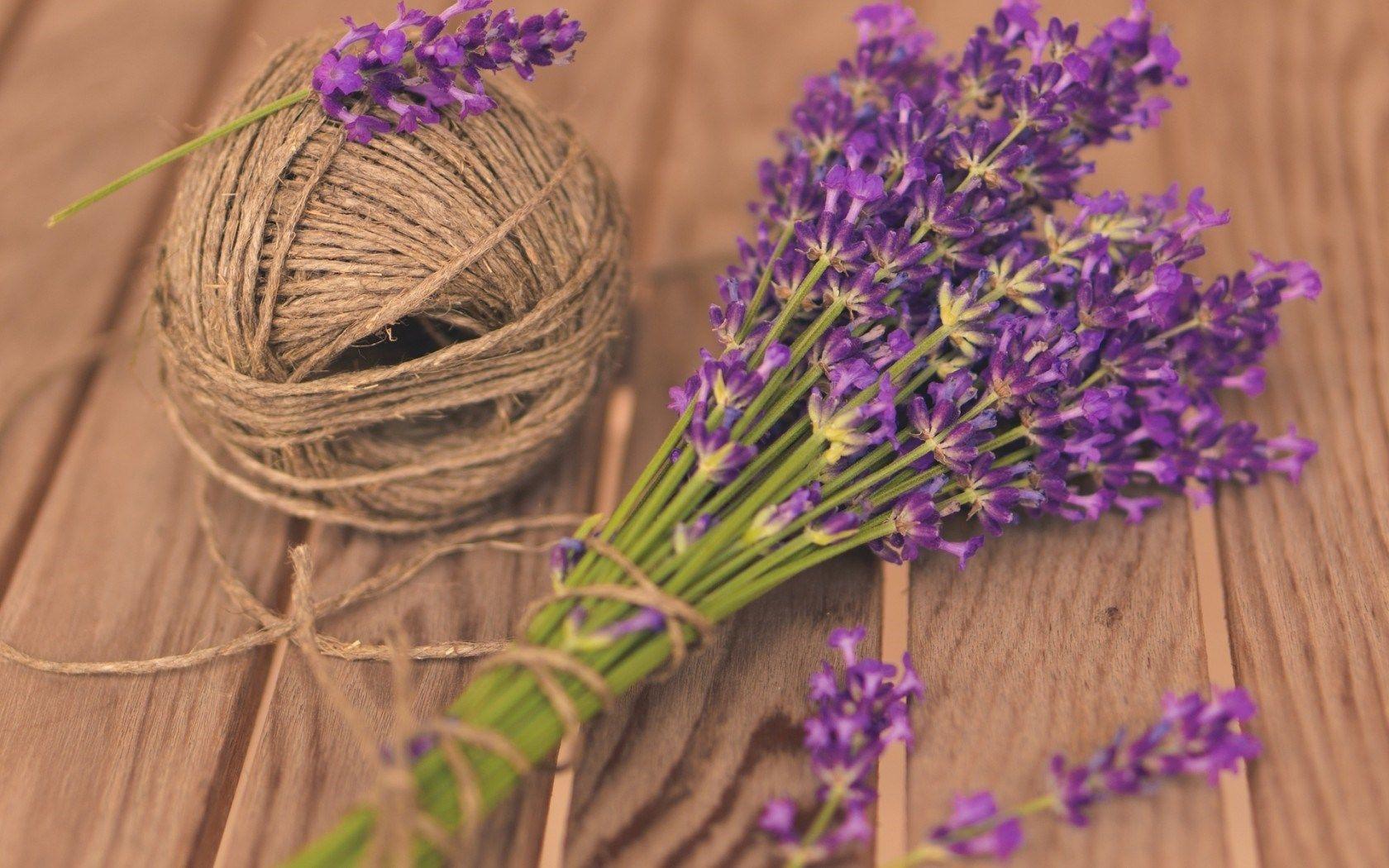 1680x1050 Mood Flowers Lavender Purple