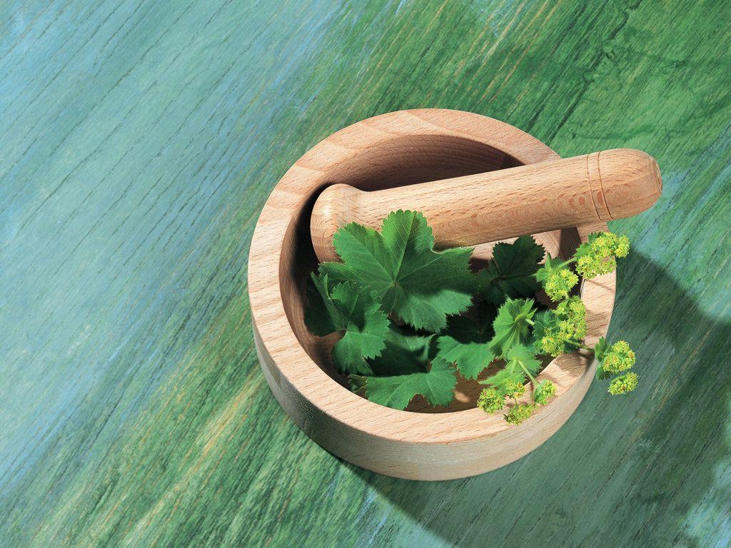 1024x768 Herbs Wallpaper