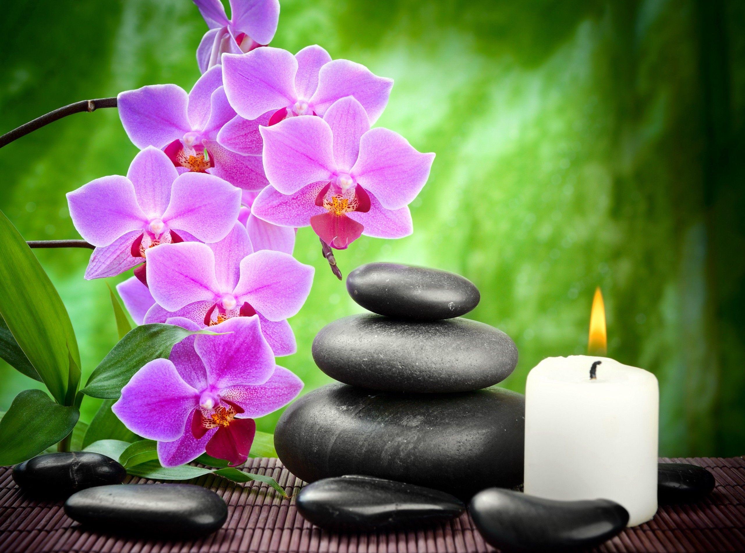 Orchid Zen Wallpapers - Top Free Orchid Zen Backgrounds - WallpaperAccess