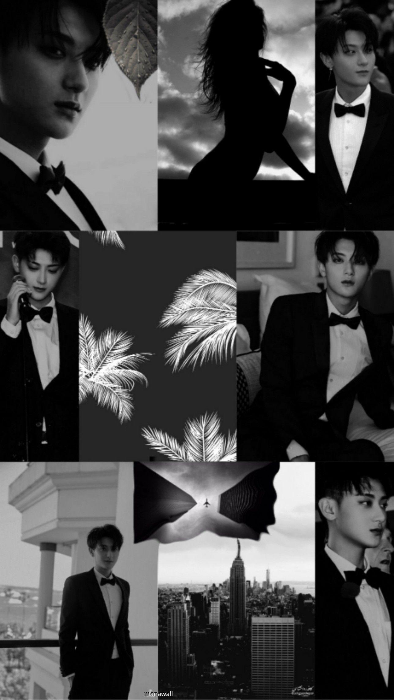 1288x2289 Black Z.Tao. Huang zi tao, Tao, Zi