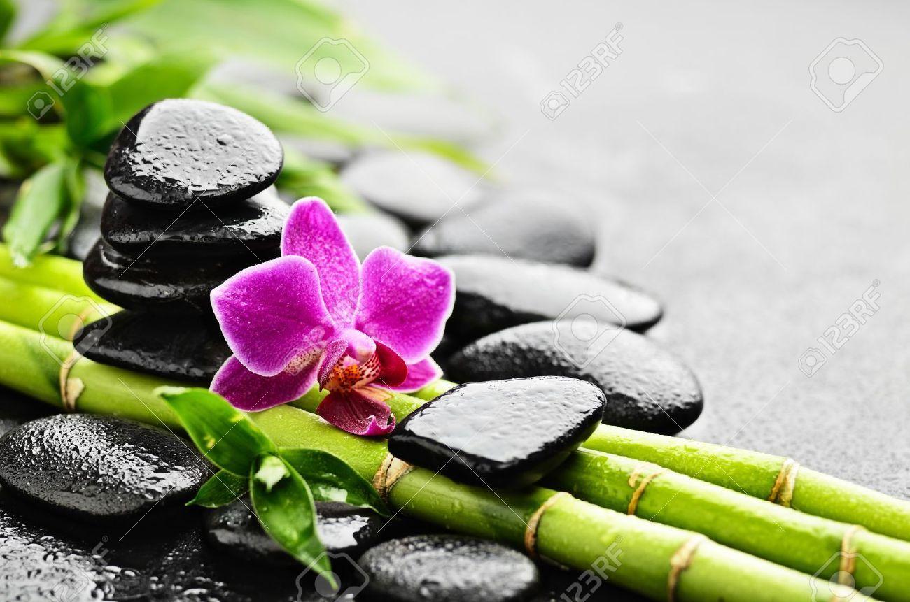 1300x861 Quality Image of Zen 1300x861
