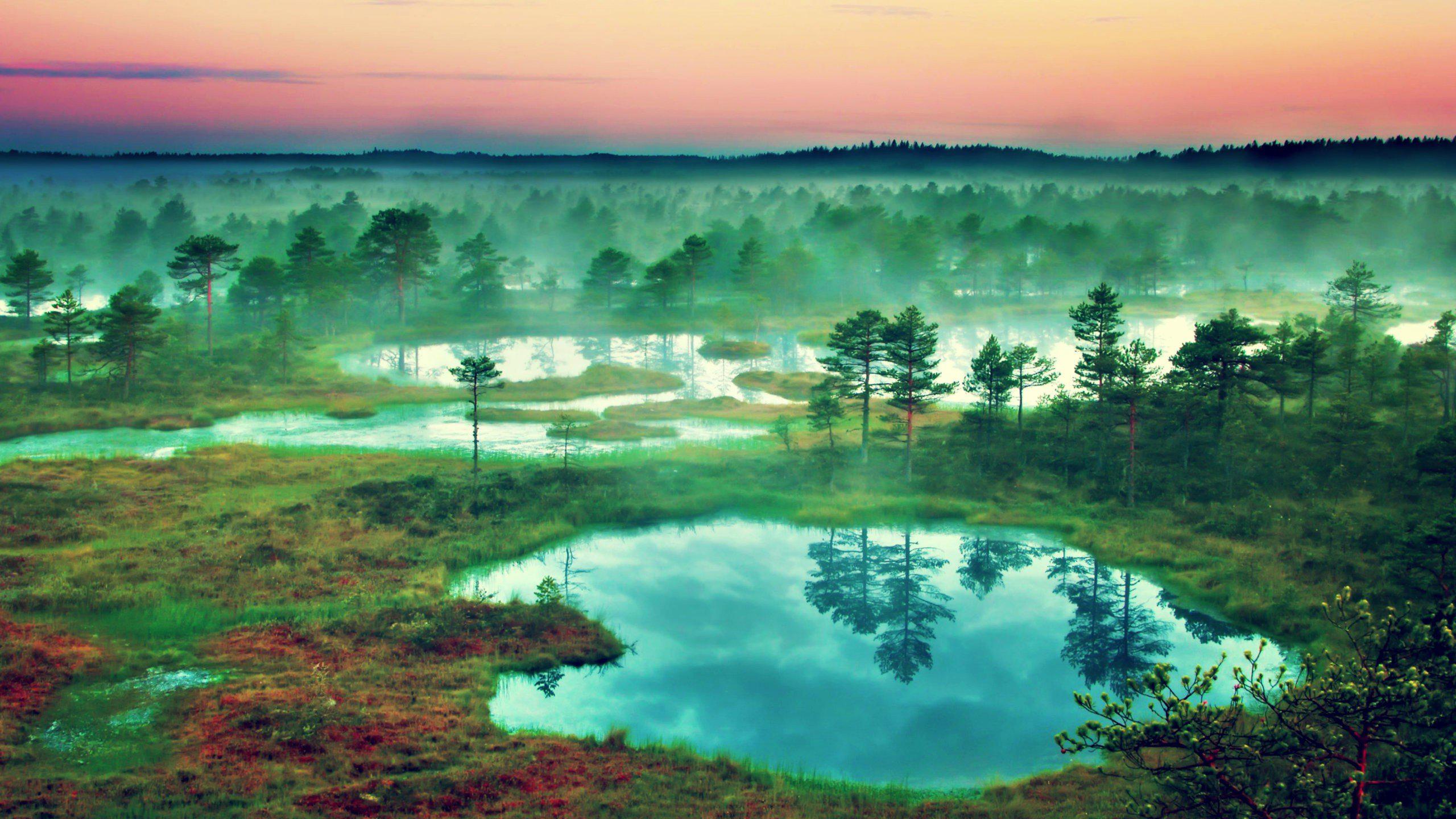 2560x1440 Free download 4K Wallpaper Nature .